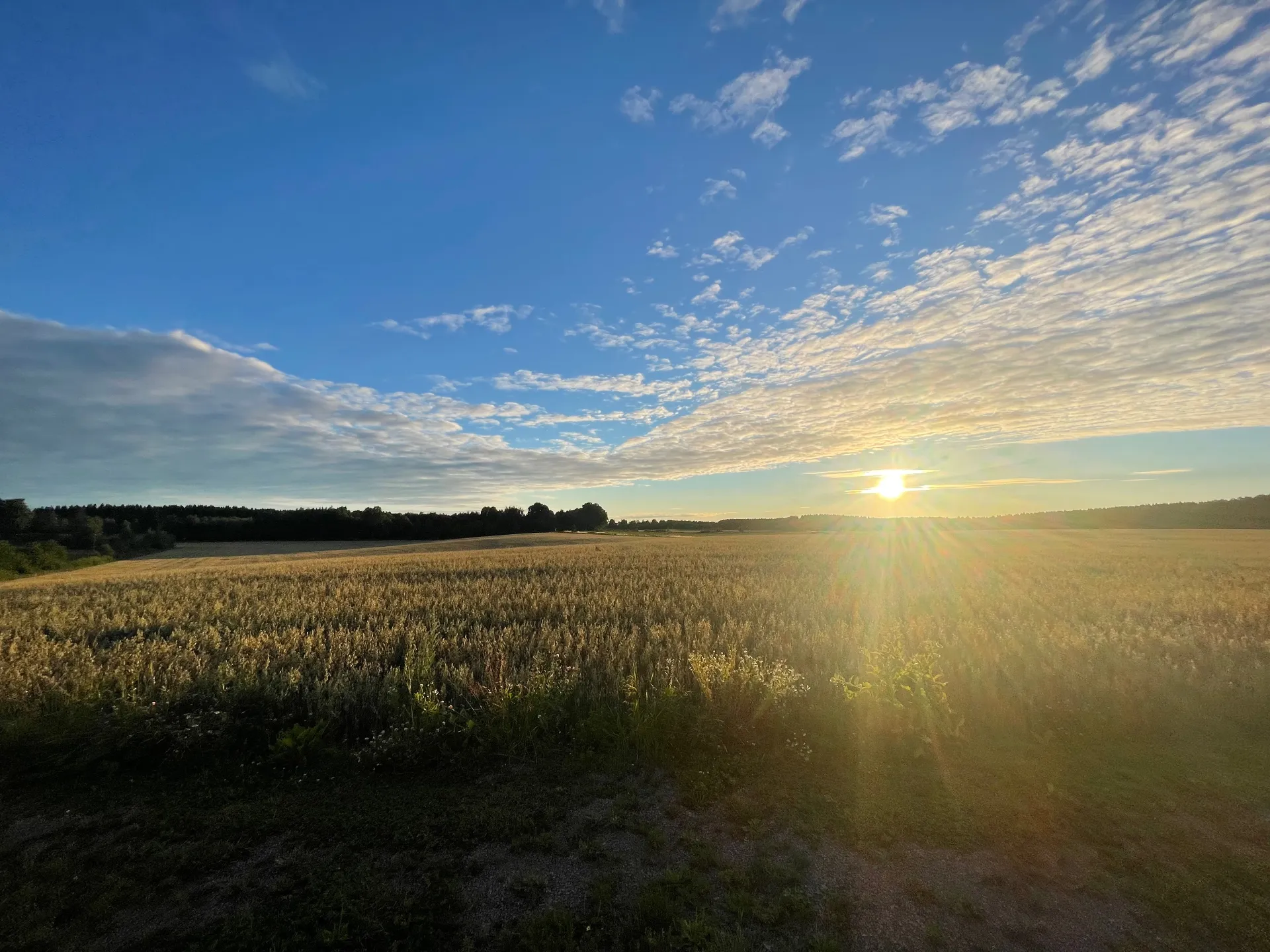 Landskapet runt Ingelsby Gård